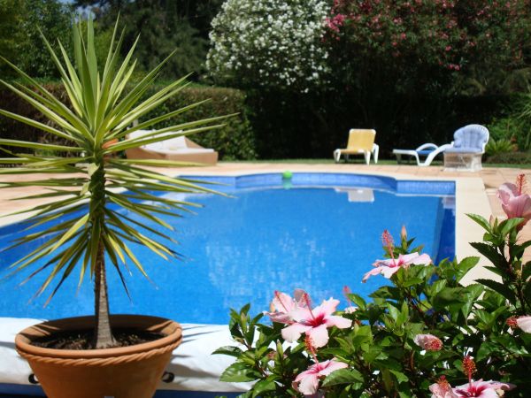 Pool Terrace Renovation in Glendale