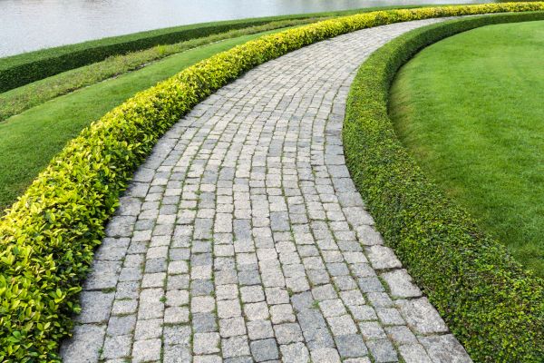 Sidewalk Pavers Installation in Glendale